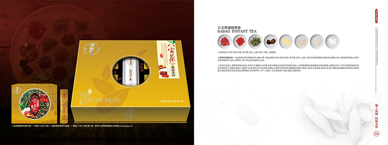 企業(yè)集團公司畫冊設(shè)計案例欣賞 企業(yè)集團公司畫冊設(shè)計案例欣賞