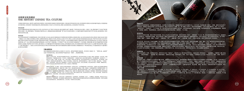 集團公司宣傳冊設(shè)計案例欣賞11-12.jpg 集團公司宣傳冊設(shè)計案例欣賞11-12.jpg