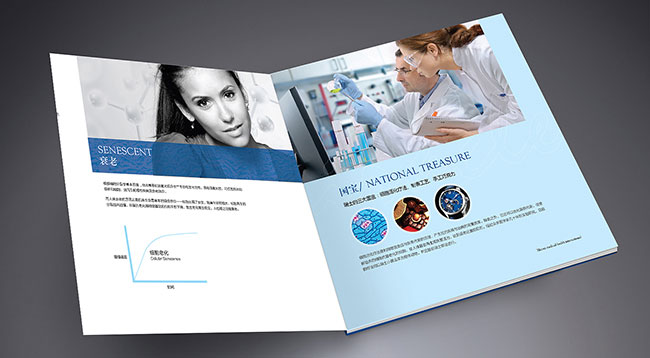 產(chǎn)品宣傳畫冊設(shè)計公司,產(chǎn)品宣傳畫冊設(shè)計