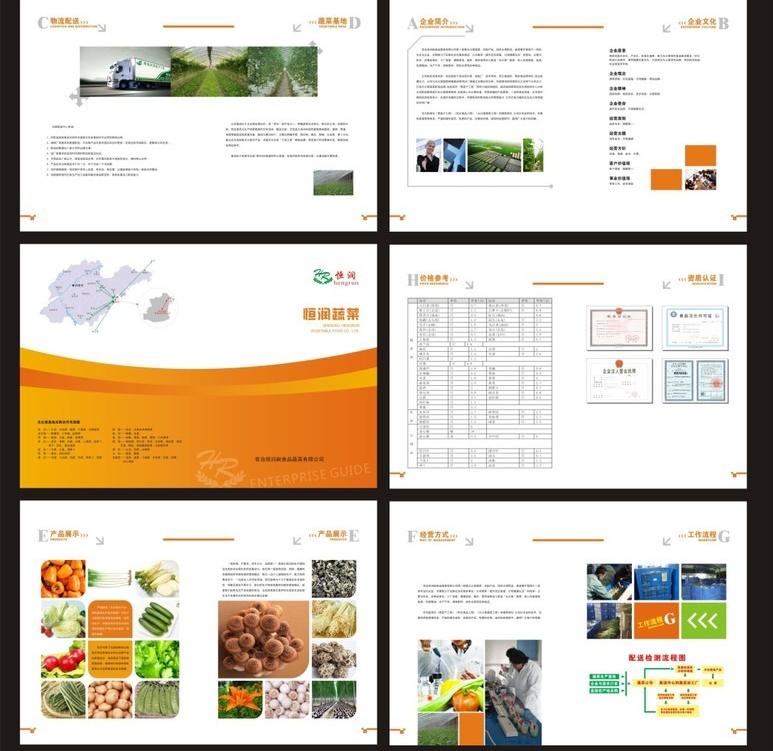 公司廣告畫冊設計公司