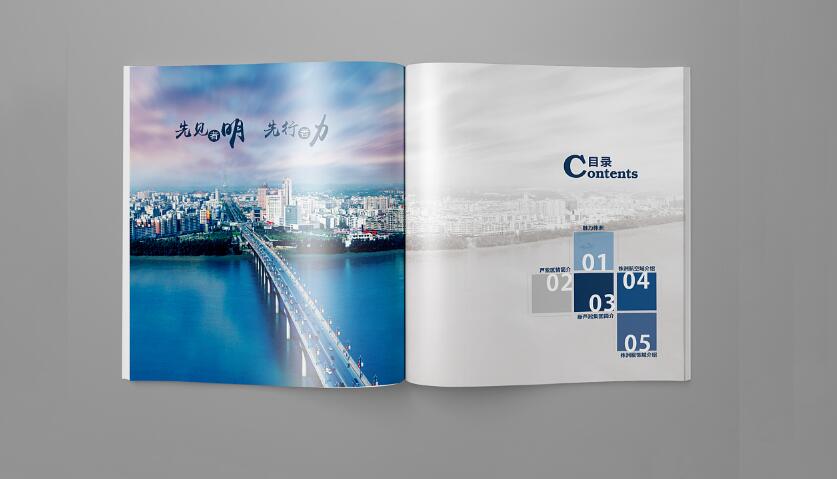 政府畫(huà)冊(cè)設(shè)計(jì)案例欣賞