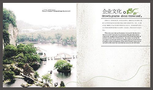 園林設(shè)計公司畫冊設(shè)計公司