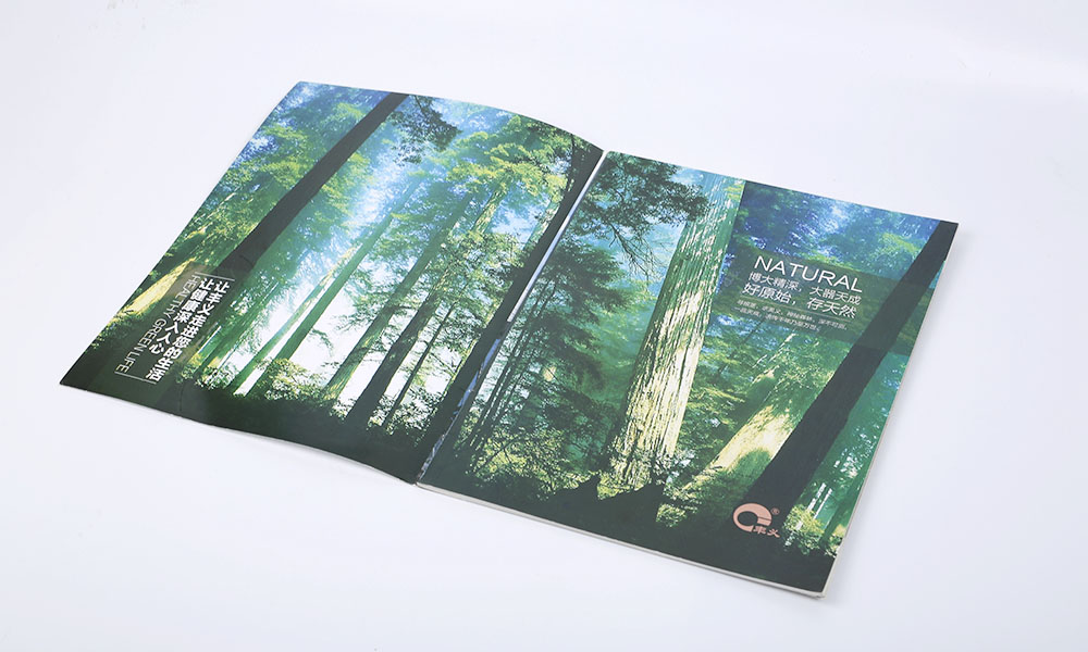 天然食品公司畫冊