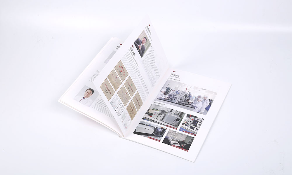 制造實(shí)業(yè)公司畫冊設(shè)計(jì) 制造實(shí)業(yè)公司畫冊設(shè)計(jì)