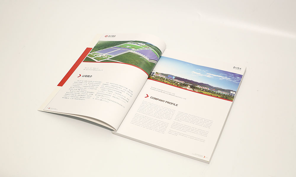 集團(tuán)企業(yè)畫(huà)冊(cè)設(shè)計(jì)