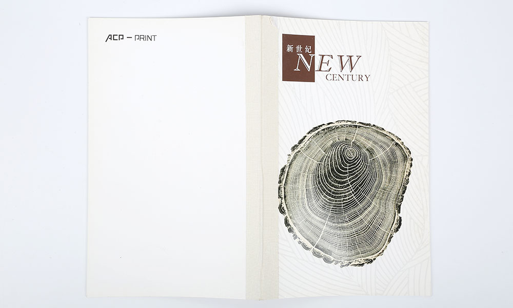 品牌公司畫冊(cè)設(shè)計(jì)-品牌形象畫冊(cè)設(shè)計(jì)-企業(yè)品牌成長(zhǎng)畫冊(cè)設(shè)計(jì)