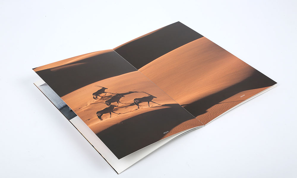 品牌公司畫冊設(shè)計 品牌公司畫冊設(shè)計