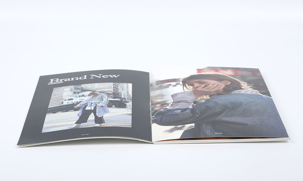 品牌公司畫冊設(shè)計 品牌公司畫冊設(shè)計