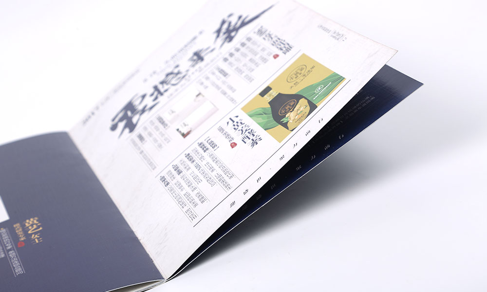 控股投資集團畫冊設(shè)計 控股投資集團畫冊設(shè)計