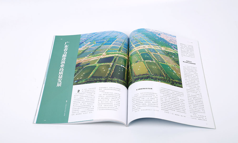 投資企業(yè)畫(huà)冊(cè)設(shè)計(jì) 投資企業(yè)畫(huà)冊(cè)設(shè)計(jì)