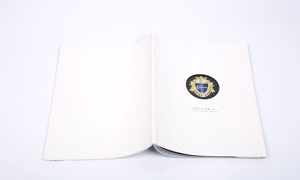 LED彩幕屏畫冊(cè)設(shè)計(jì) LED彩幕屏畫冊(cè)設(shè)計(jì)