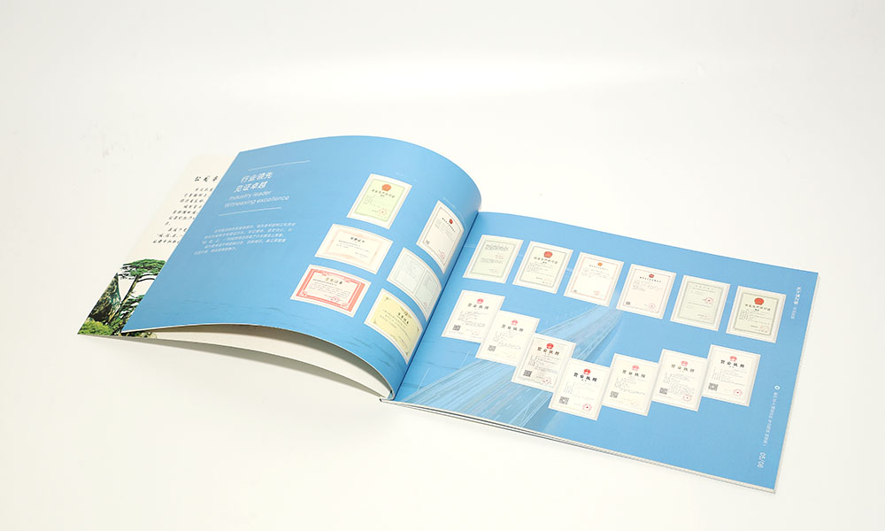 路橋公司畫冊(cè)設(shè)計(jì) 路橋公司畫冊(cè)設(shè)計(jì)