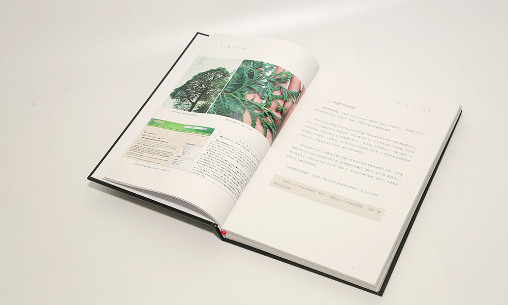 佛珠木雕畫冊(cè)設(shè)計(jì) 佛珠木雕畫冊(cè)設(shè)計(jì)