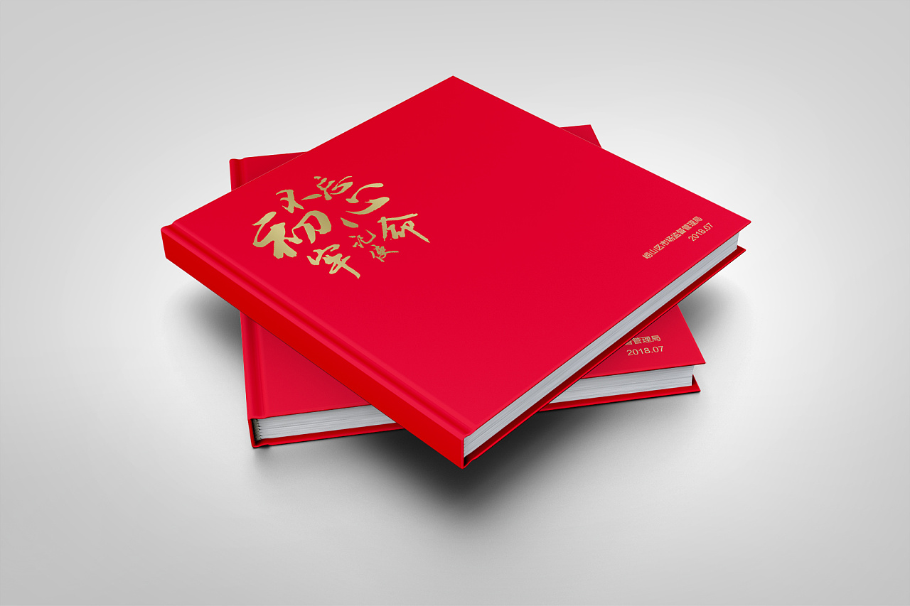 黨建畫冊設計,政府單位畫冊設計