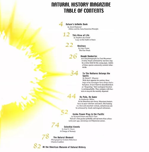 目錄頁設(shè)計(jì),廣州天河目錄頁設(shè)計(jì)公司