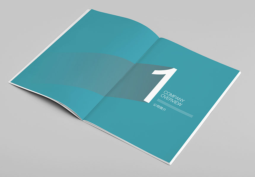 專業(yè)畫冊設計制作公司