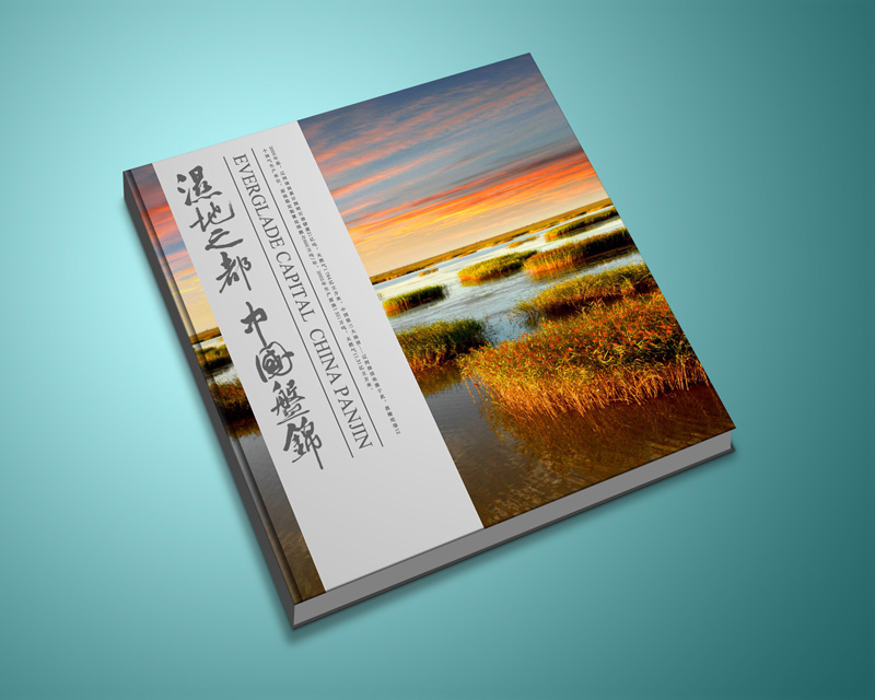 廣告畫冊設(shè)計公司