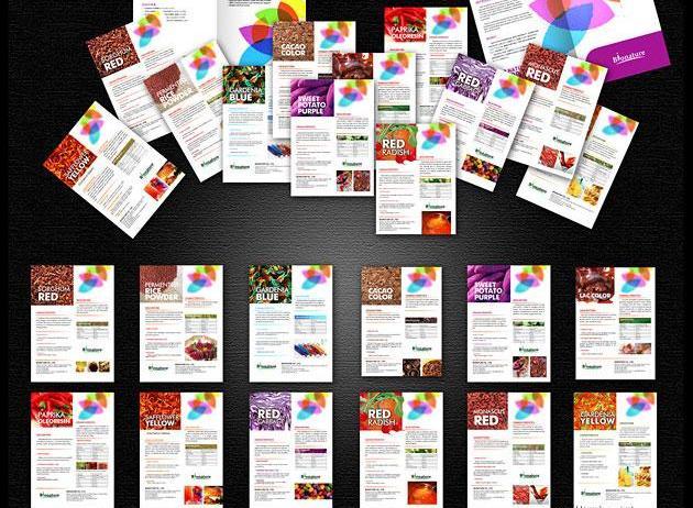 女裝畫冊設(shè)計公司如何去找尋呢？為大家分享秘籍