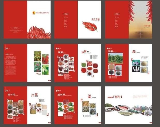 畫冊欄目設(shè)計該如何，一起進來看看吧